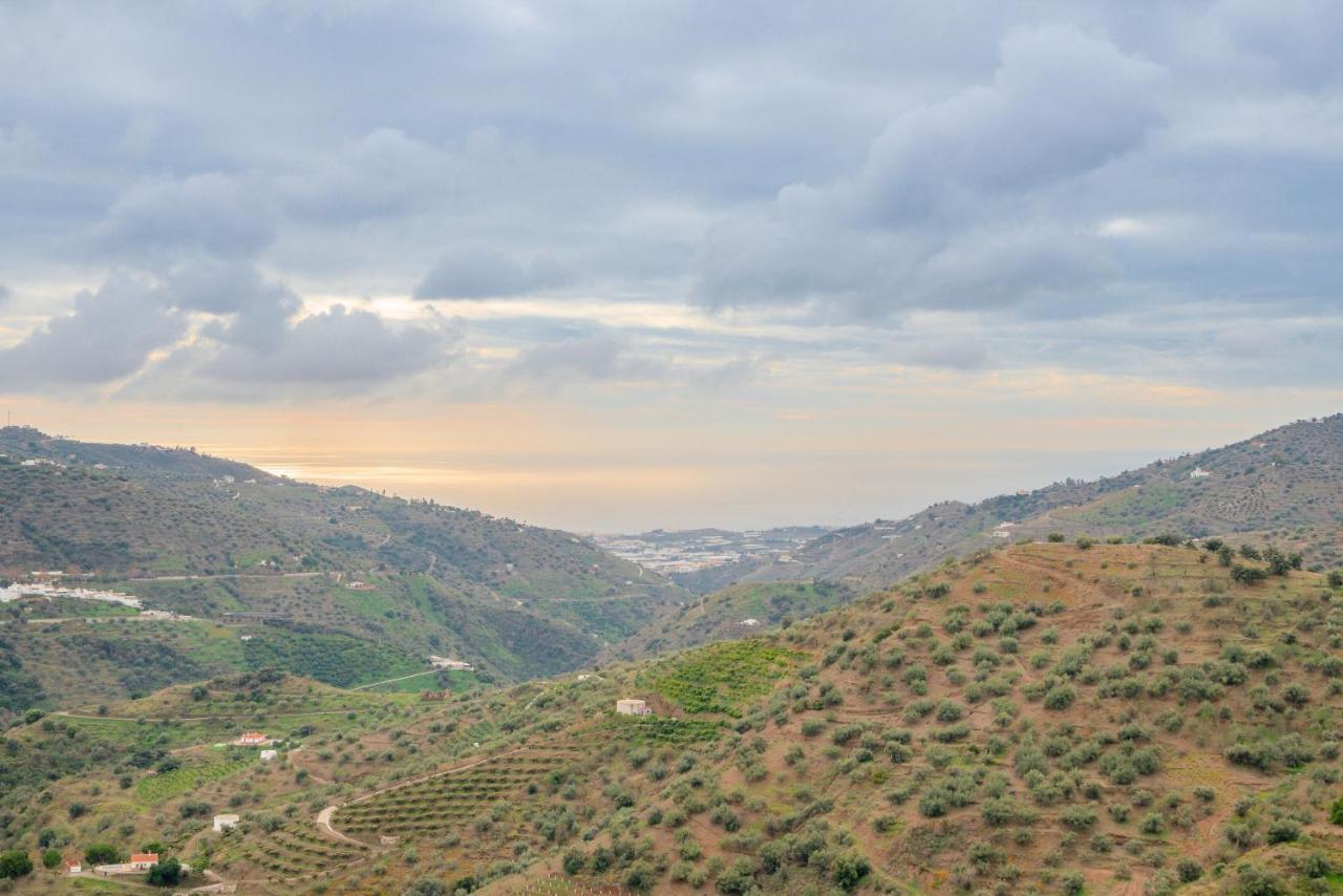 הוילה Sayalonga Cortijo La Encina מראה חיצוני תמונה